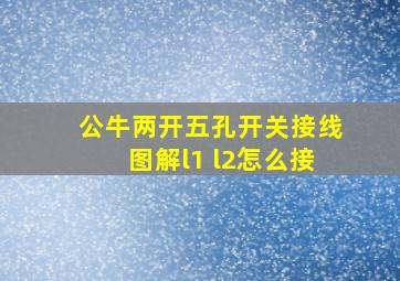 公牛两开五孔开关接线图解l1 l2怎么接